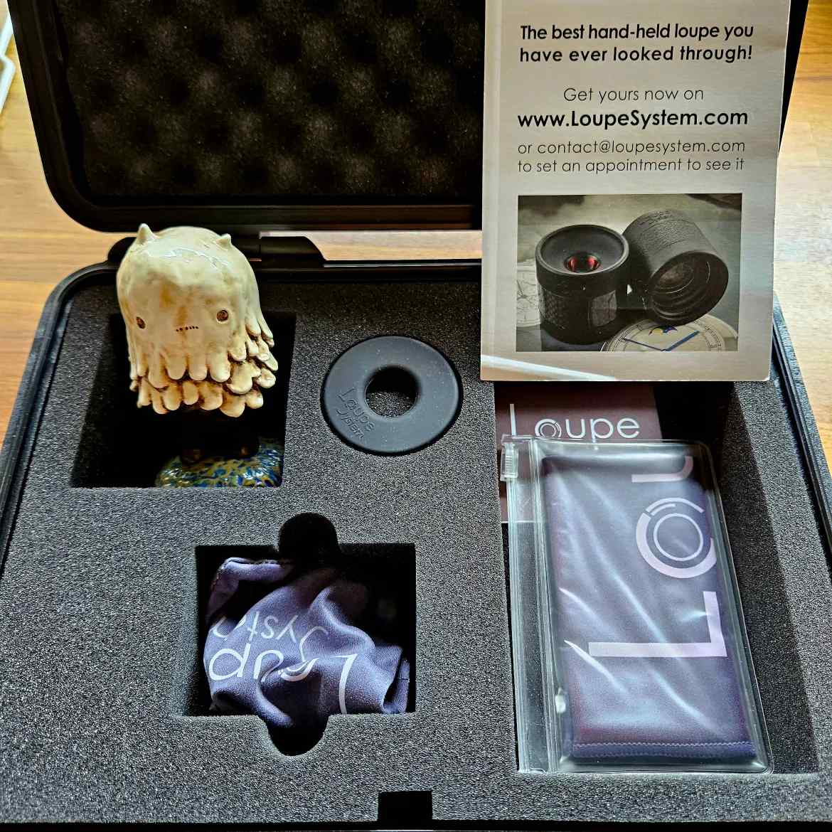 Loupe System