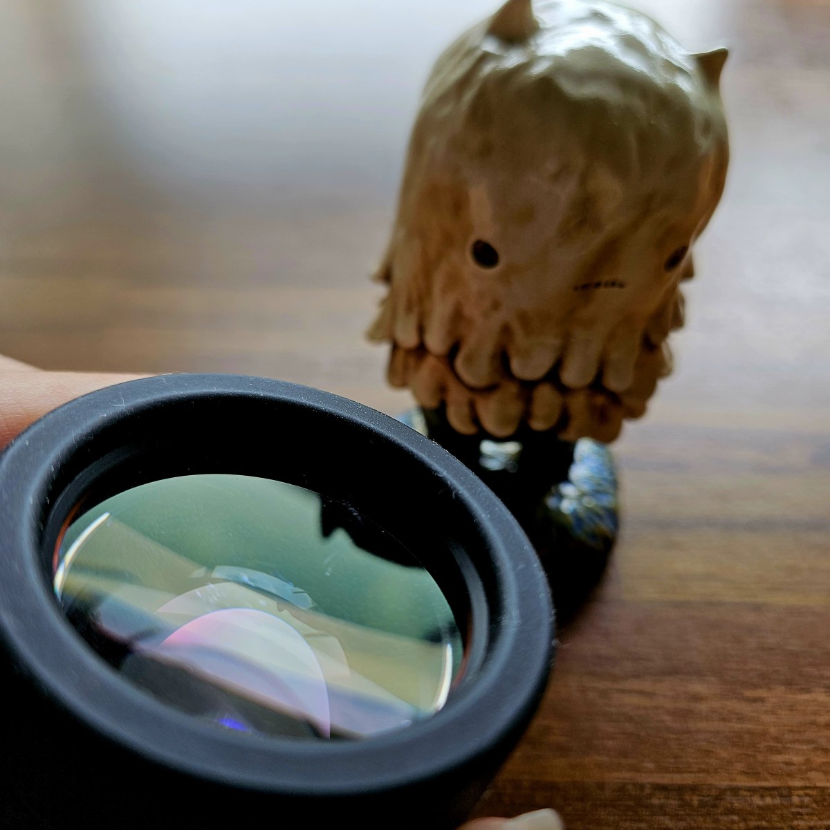 Loupe System