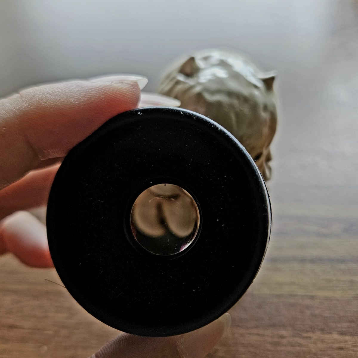Loupe System