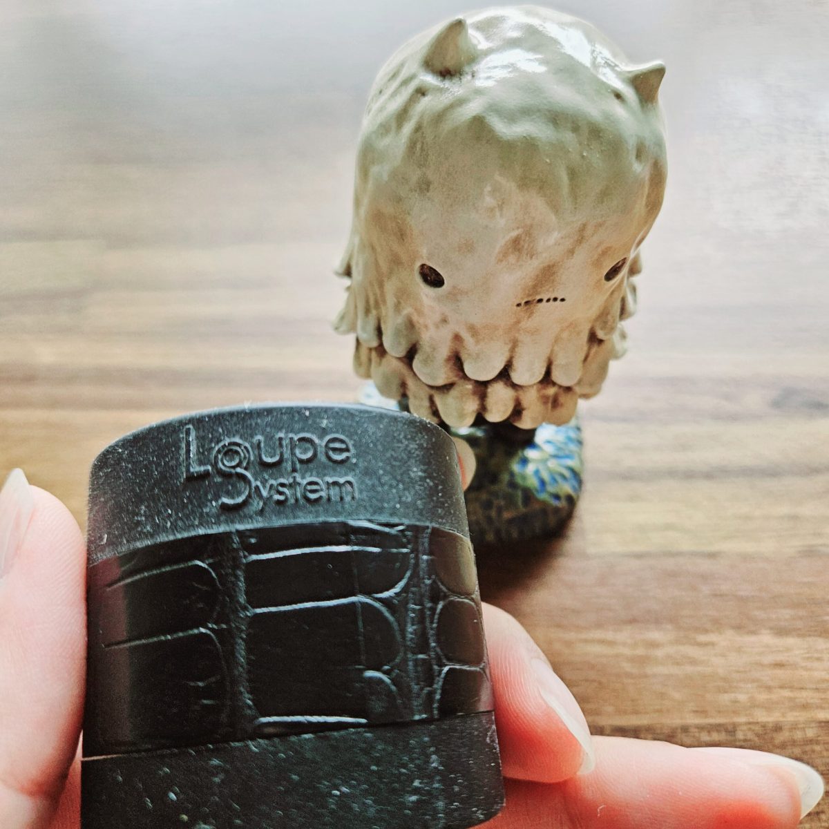 Loupe System